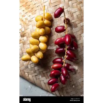 Fresh Dates